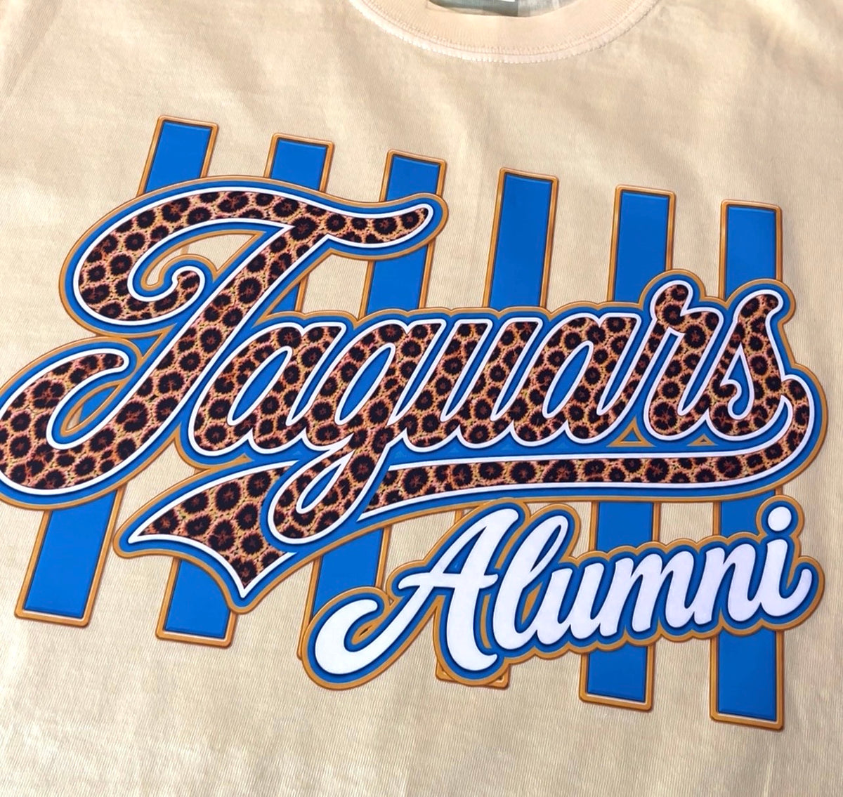 Jaguar Alumni Striped T-Shirt (Women)